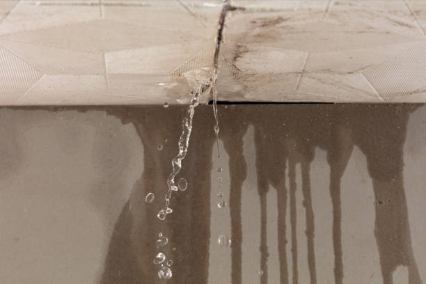 Professional Burst Pipe Cleanup technician working in Albany, GA